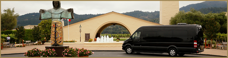 dynamic napa wine tours header